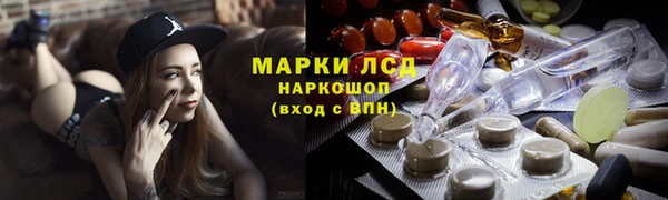 шишки Балахна